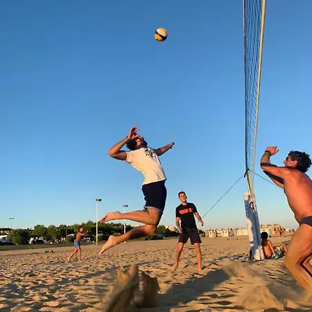 Апартаменты Twin Pine Trees Flats, Near *