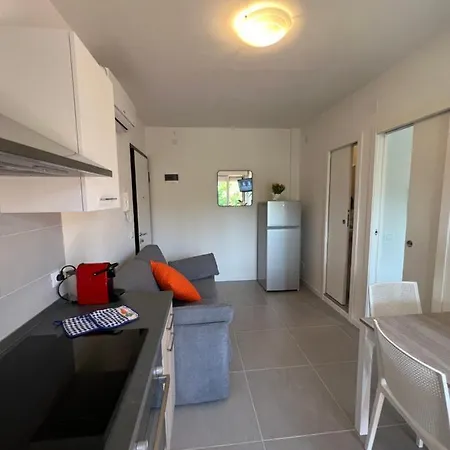 Twin Pine Trees Flats, Near *