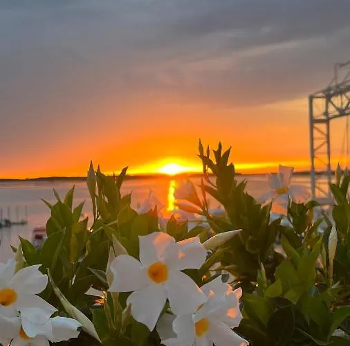 Lägenhet Twin Pine Trees Flats, Near